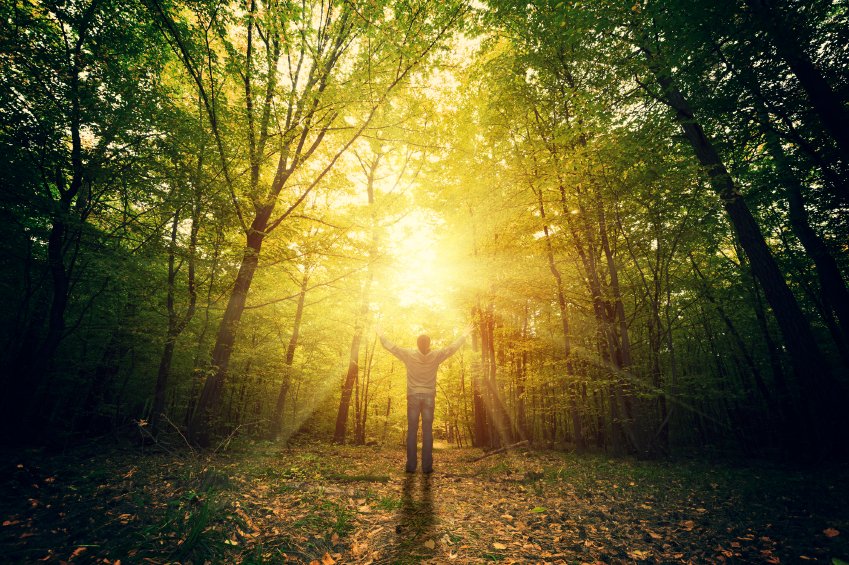 Poll: How many people want to be immortal?